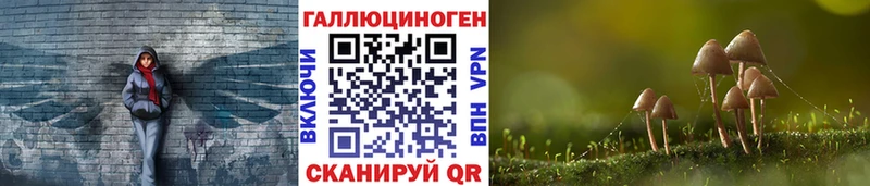 Галлюциногенные грибы прущие грибы  Купить где  Североморск 
