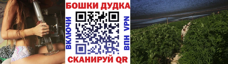 Бошки Шишки OG Kush Североморск